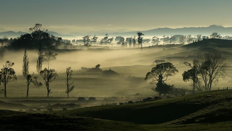 New industries are dawning in the beautiful South Waikato, including dairy centres served by Hydraulink’s Tokoroa 4WD fleet which brings service to the customer, rather than vice-versa